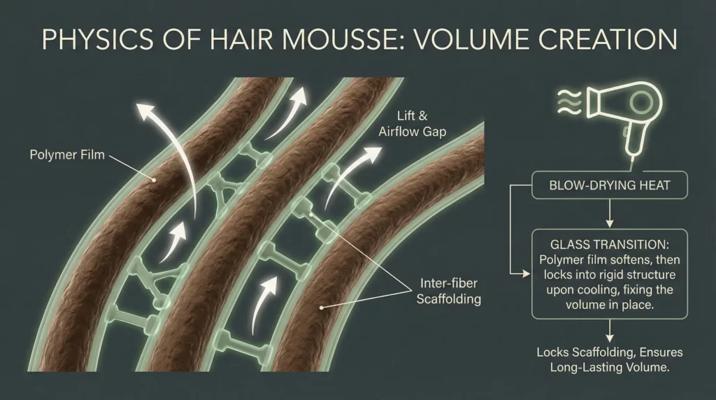 A scientific diagram showing how mousse polymers create a structural scaffolding between hair strands for maximum volume.
