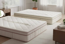 Three luxurious mattresses are arranged side-by-side in a bright bedroom for a visual comparison of spine support.