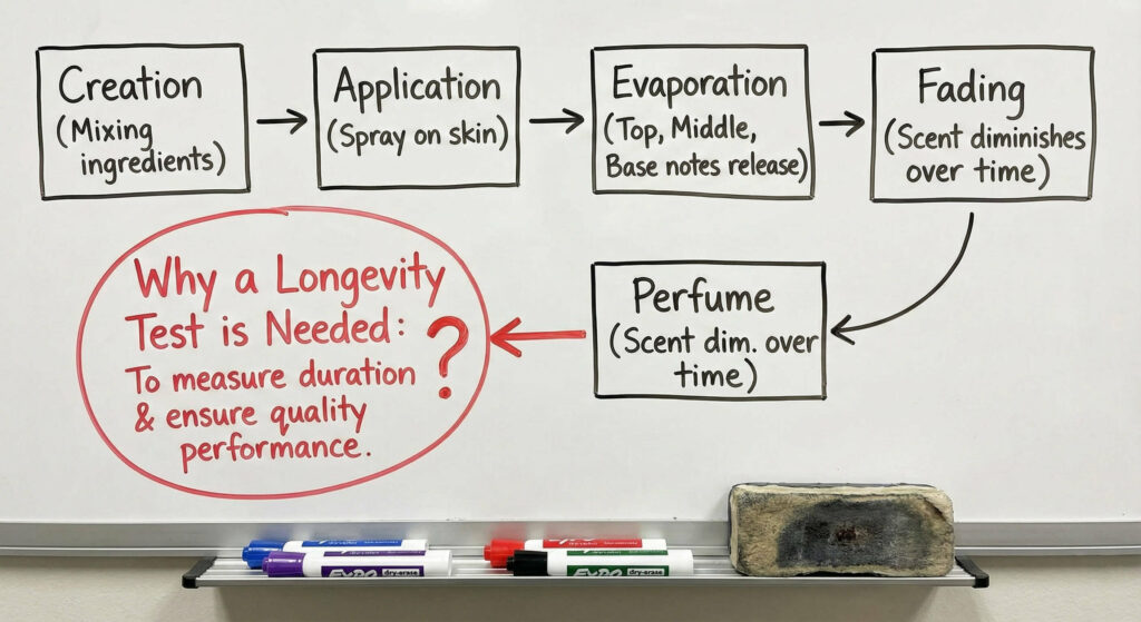 the perfume's lifecycle