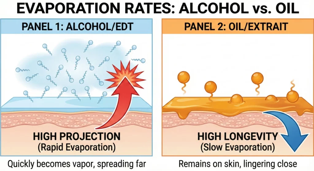 A diagram comparing Evaporation Rates.