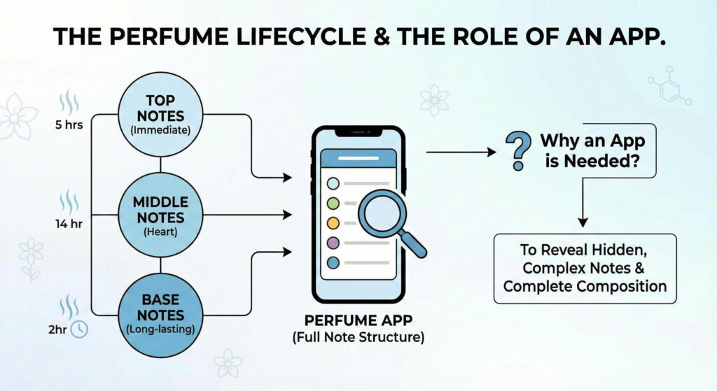A diagram of the perfume's lifecycle